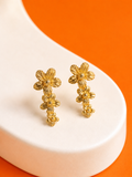 Bieber Earings